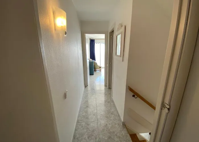 Elypalace 11-9 بلاتجا ذارو